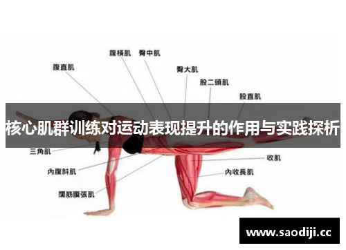 核心肌群训练对运动表现提升的作用与实践探析
